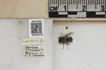 Media type: image;   Entomology 786146 Aspect: Labels